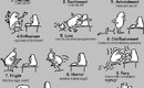 Programmer_cartoon_4